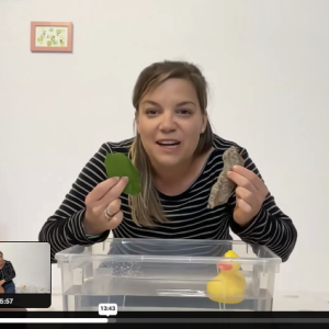 Ausflug zum See Musik in der Kita Akademie Webinar