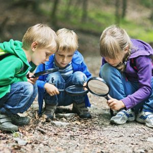 Naturwissenschaft-Forschen-Entdecken-Tiere-Wald-Kindergarten-Musik-in-der-Kita