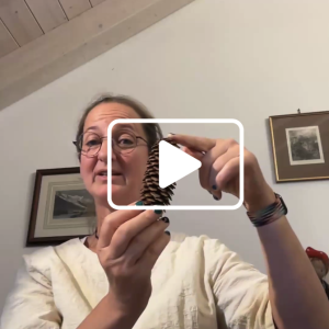 Musik im Wald Webinar Annette Sperling Musik in der Kita